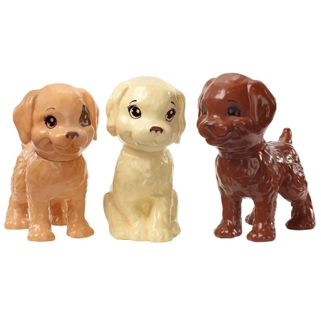 Lalka Barbie kąpiel piesków akcesoria Mattel GDJ37